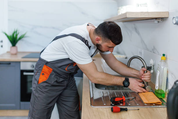 Best Local Plumber Services  in Port Byron, IL