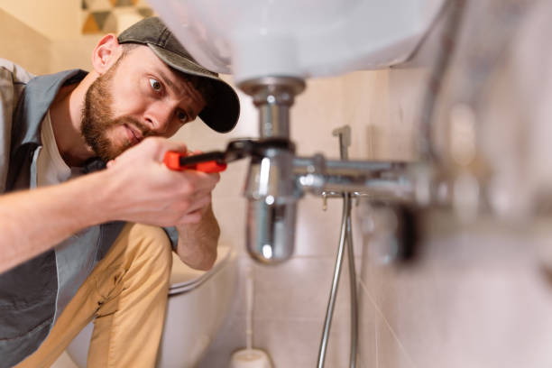 Best Residential Plumbing Services  in Port Byron, IL