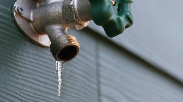 Best Sewer Line Repair  in Port Byron, IL